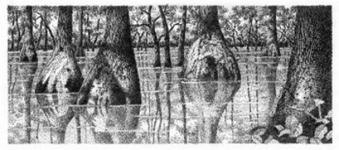 Down on the Bayous - print