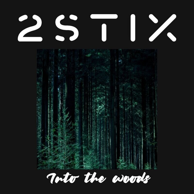 Into the woods (Instrumental Single)