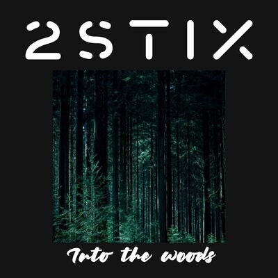 Into the woods (Instrumental Single)