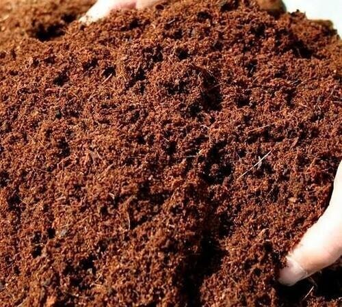 Coco Peat - Ready to Use