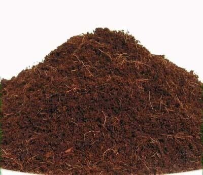 Coco Peat - Ready to Use
