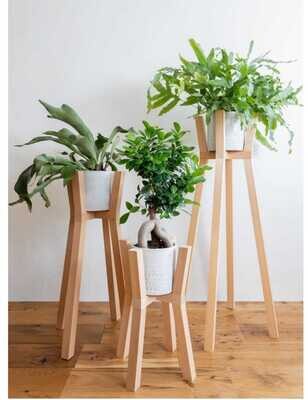 Wooden Stand for Plants/Planter for Home Garden Decoration in Beige- Set of 3