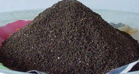 Organic Vermi Compost