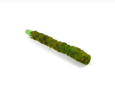 Moss Stick
