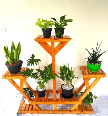 Gaint W-Shape Wooden Multipurpose Plant Stand | Living Room Side Stand | Flower Pot Stand | Height:4 Feet