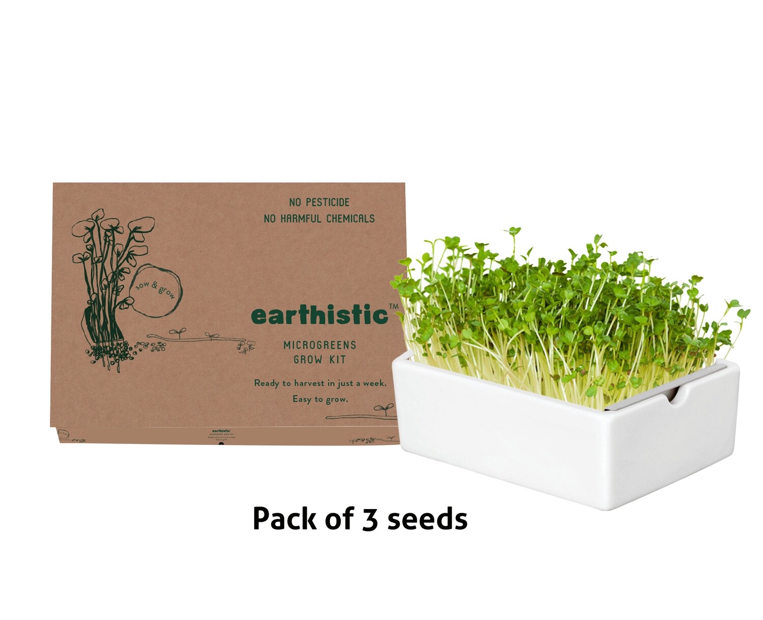 MICROGREEN SEEDS ( SET OF 3 )