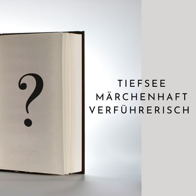 Mysterybook 12