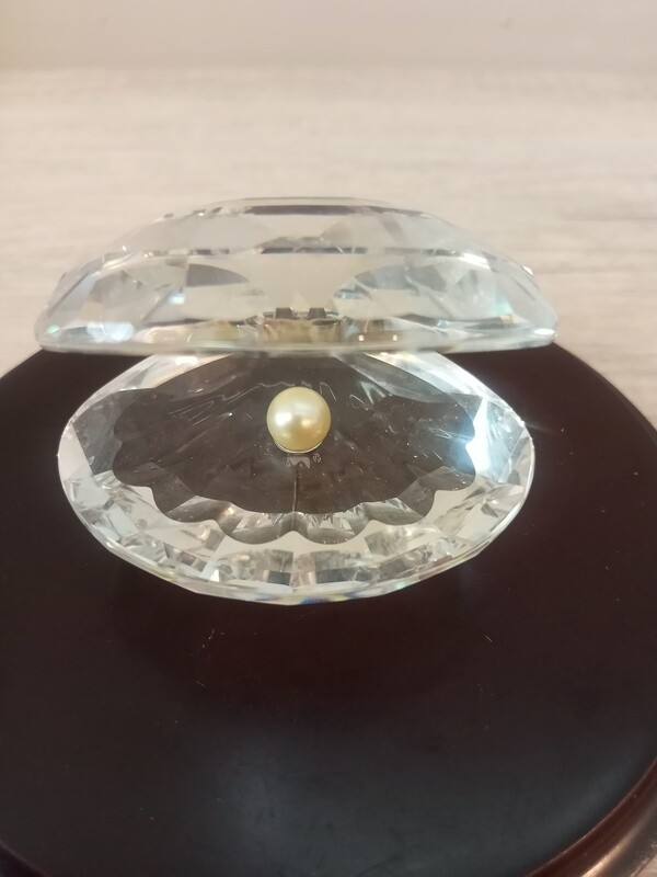 Large Clam Shell with Pearl