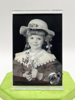Swarovski Ladybug 3x5 Picture Frame