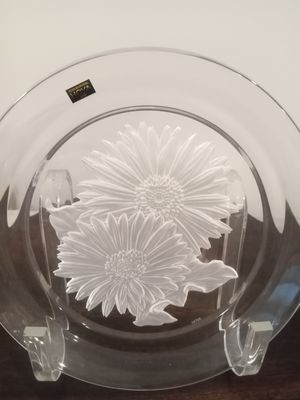 Hoya Flower of the Month "Sunflower"