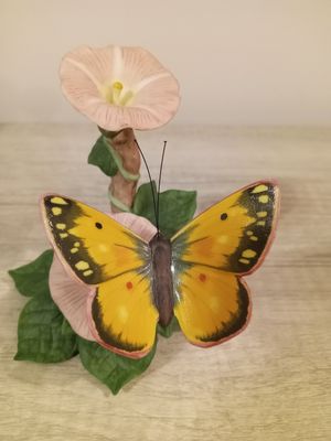 Lenox Orange Sulphur Butterfly