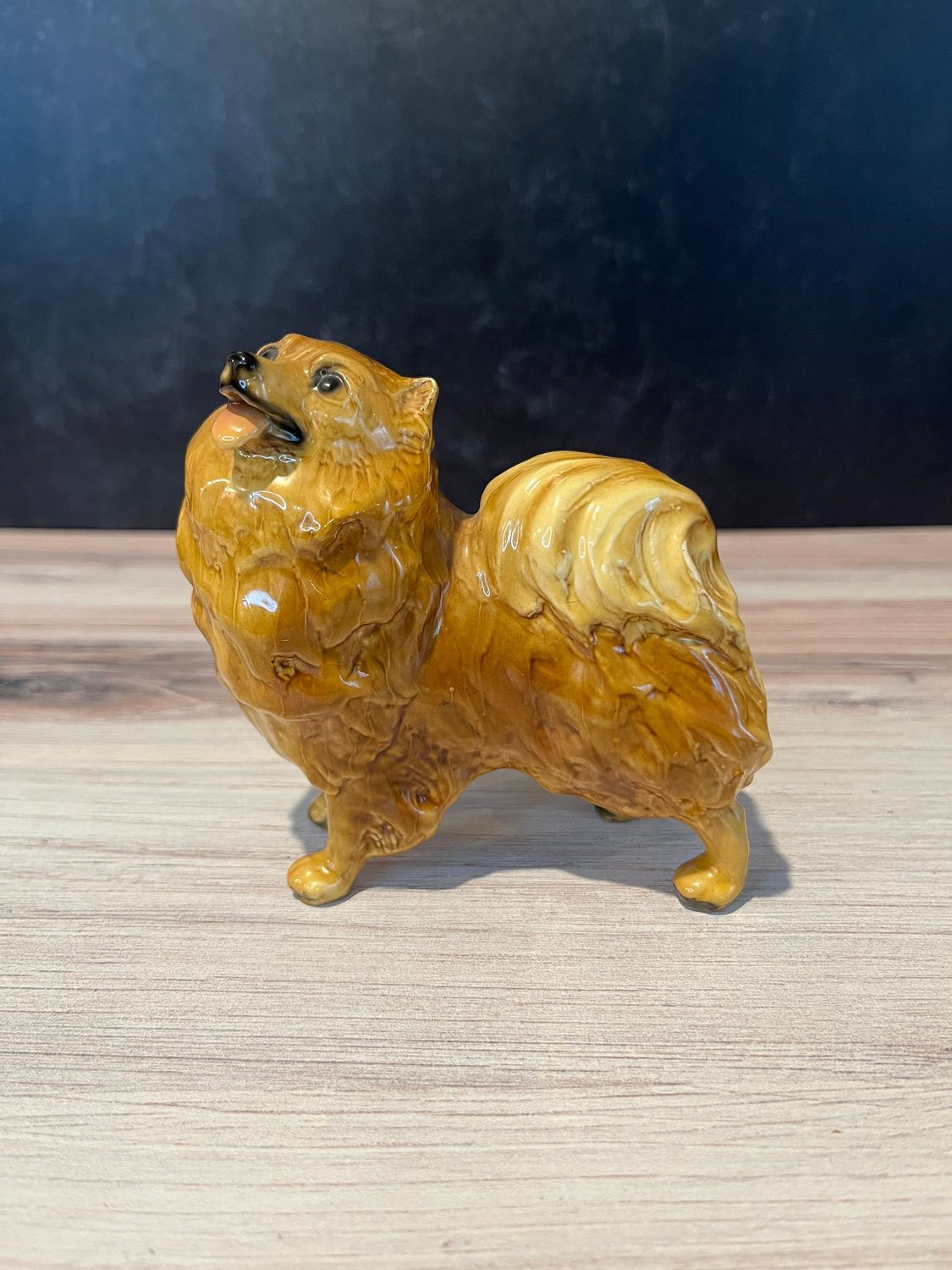 Morten Studio &quot;Pomeranian&quot; **Minor Chip**