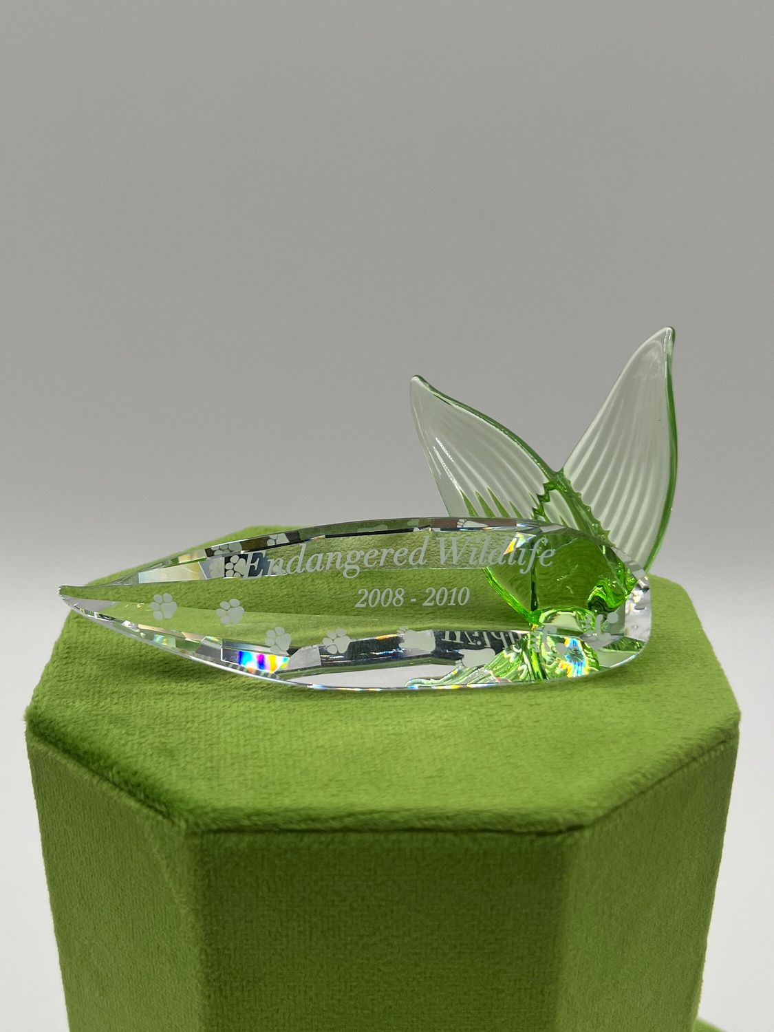 Swarovski Endangered Species &quot;Wildlife&quot; Plaque #906929