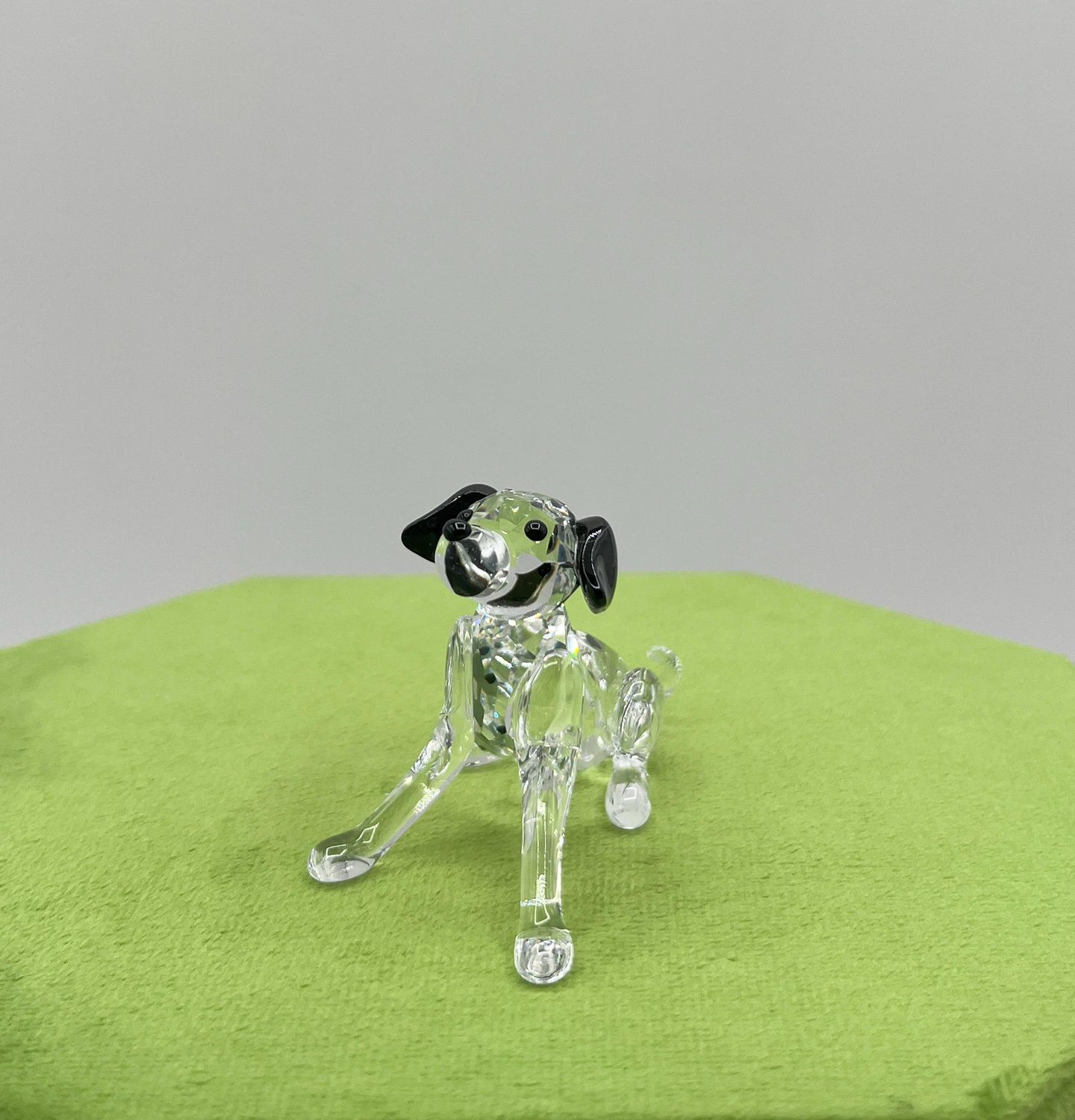 Swarovski Dalmatian Puppy Sitting #7619-008
