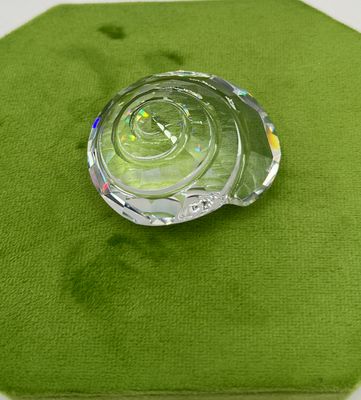 Swarovski Top Shell Renewal Gift #880693 Swarovski Top Shell Renewal Gift #880693