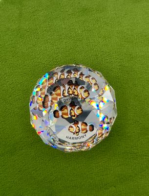 Swarovski Harmony 40mm Paperweight #839433