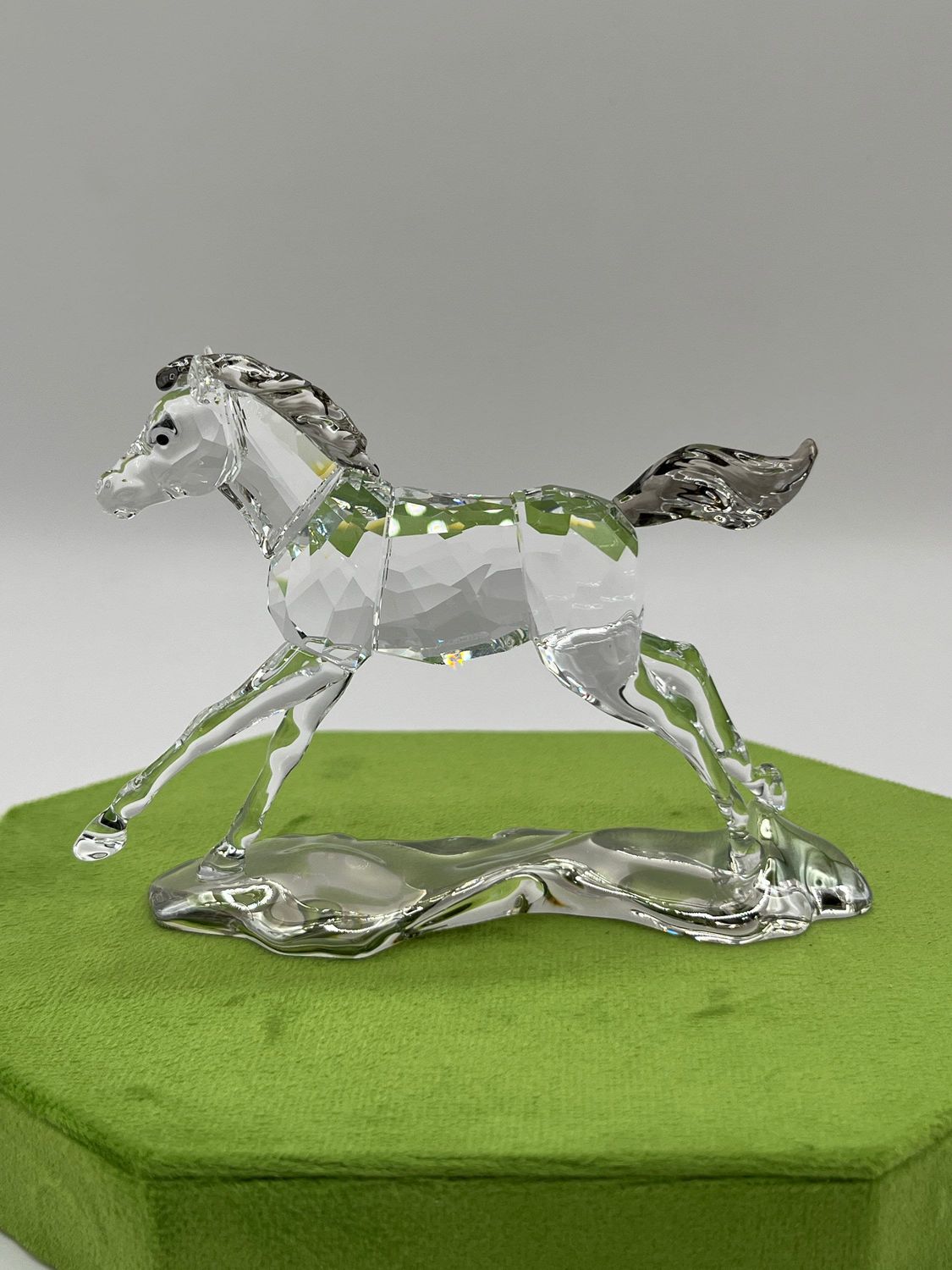 Swarovski 2014 SCS Annual Edition Foal (Signed) #5004729
