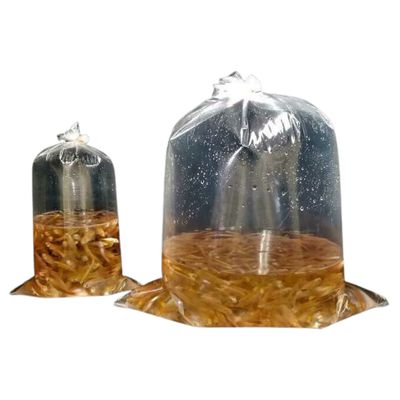 Fish Bag 10x20x.002 per pack of 100