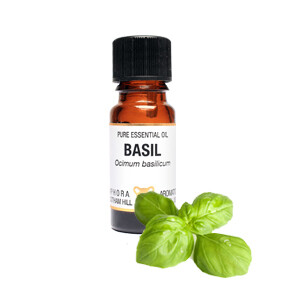 Basil - Ocimum basilicum. 10 ml Pure Essential Oil Basil - Ocimum basilicum. 10 ml Pure Essential Oil