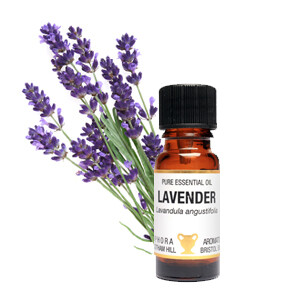 Lavender - Lavendula angustifolia 10 ml pure Essential Oil Lavender - Lavendula angustifolia 10 ml pure Essential Oil