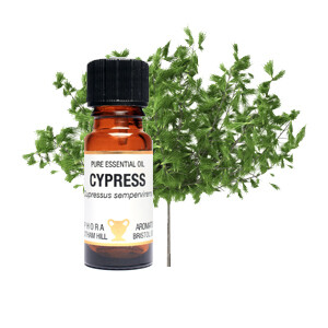 Cypress - Cupressus sempervirens 10 ml pure Essential Oil Cypress - Cupressus sempervirens 10 ml pure Essential Oil