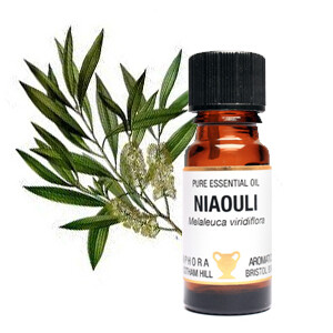 Niaouli - Melaleuca viridiflora. 10 ml Pure Essential Oil Niaouli - Melaleuca viridiflora. 10 ml Pure Essential Oil