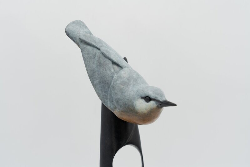 Nut Hatch