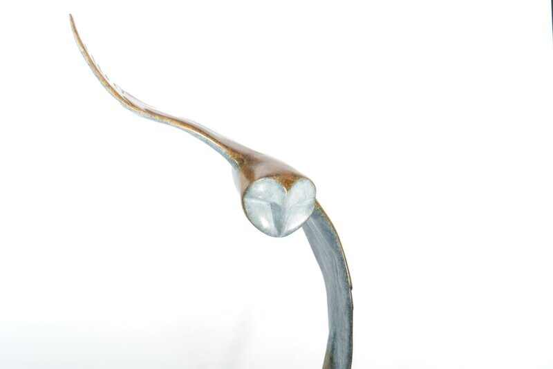 Barn Owl in Flight- David Meredith- Bronze Sculpture 