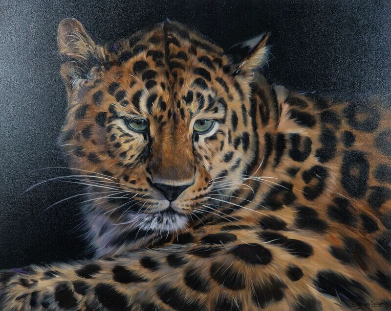 AMUR LEOPARD