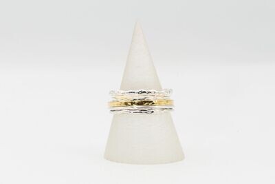 Silver & Gold spinning ring