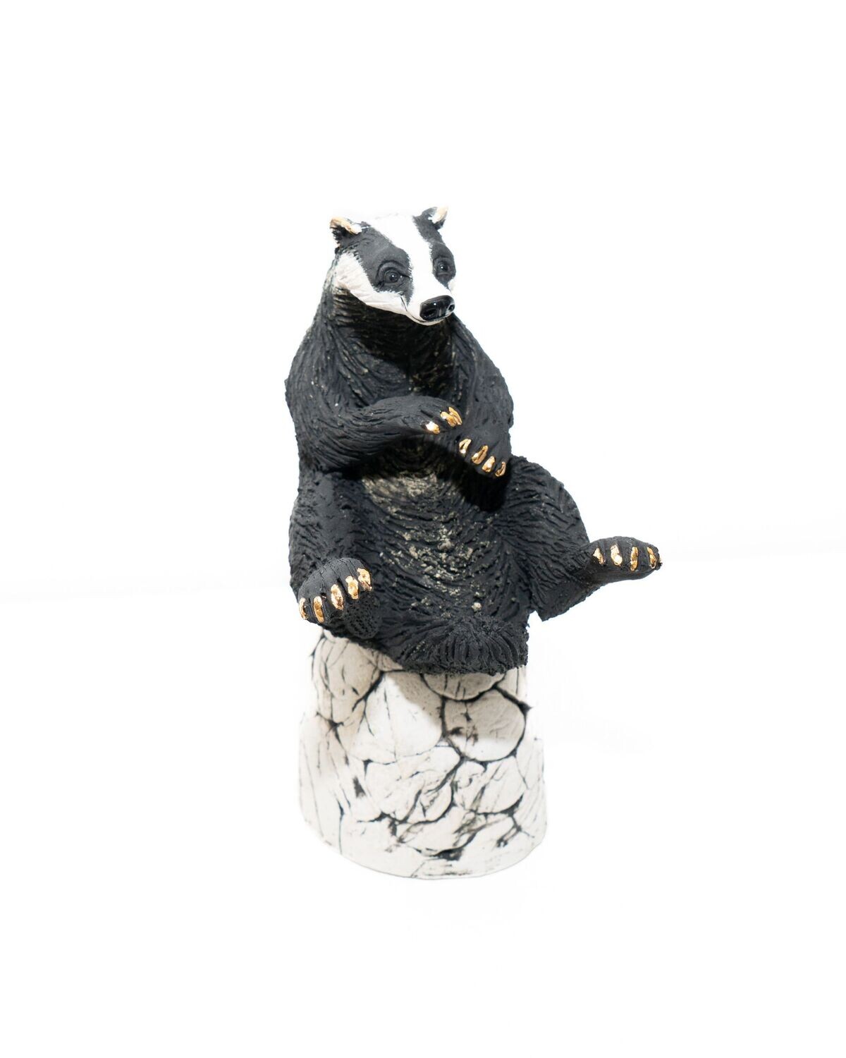 Small Sitting Badger on Hill