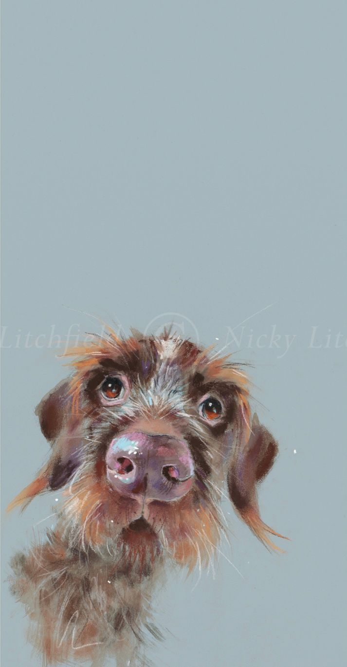 Mischievous- Nicky Litchfield- Print
