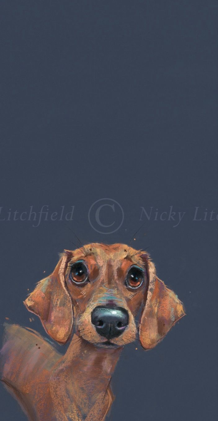 Sausage- Nicky Litchfield- Limited Edition Print
