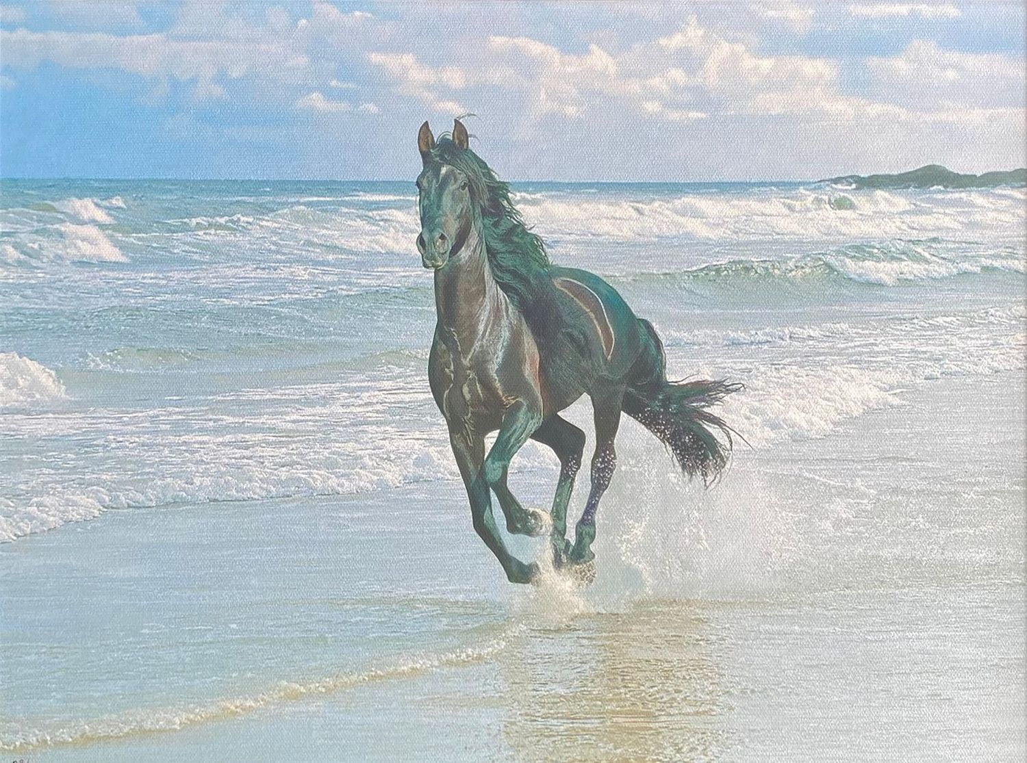 Sea Stallion- Darren Baker- Original- 