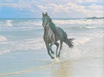 Sea Stallion- Darren Baker- Original- 
