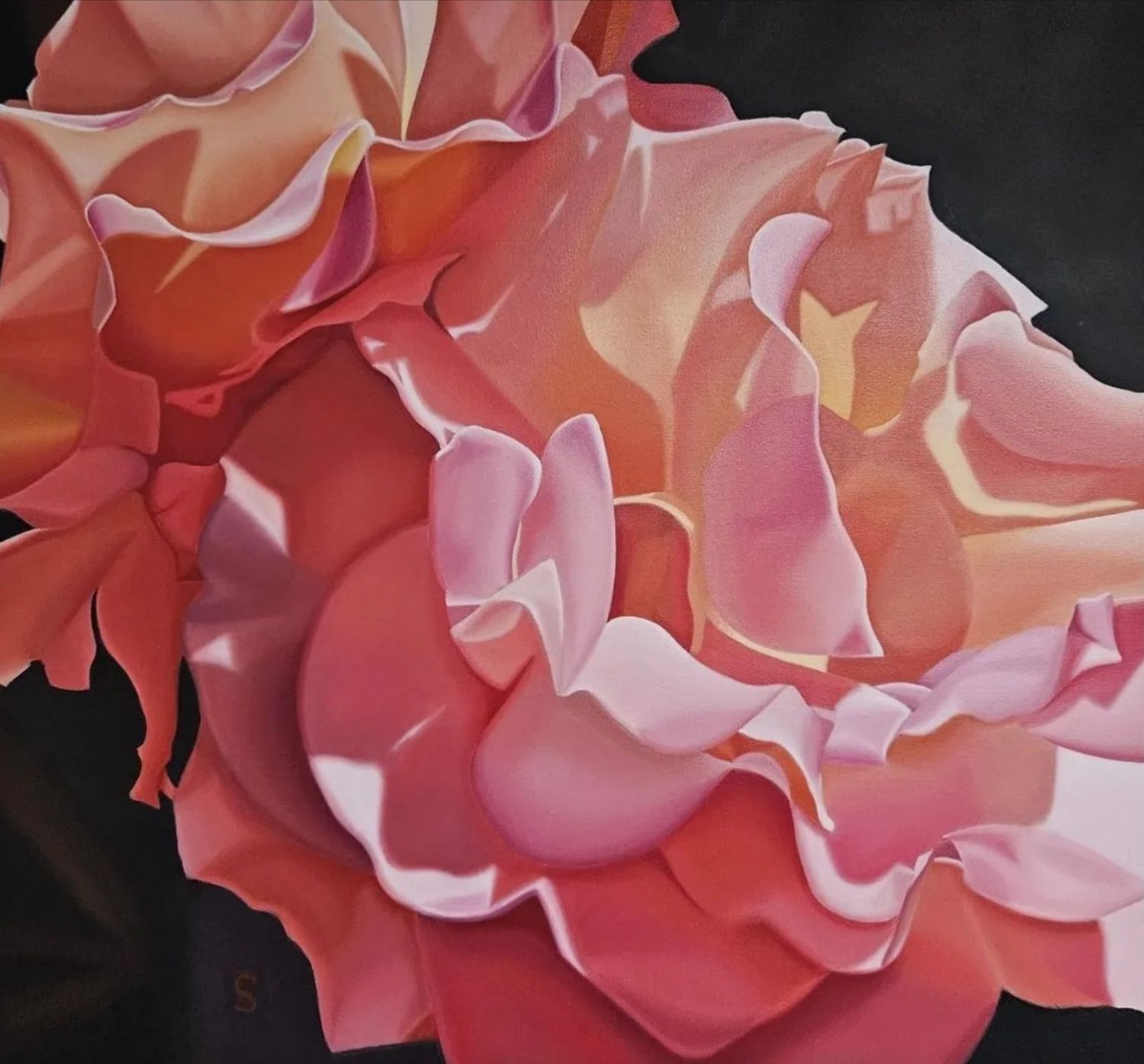 Rhubarb and Custard- Steve Foster- Original 