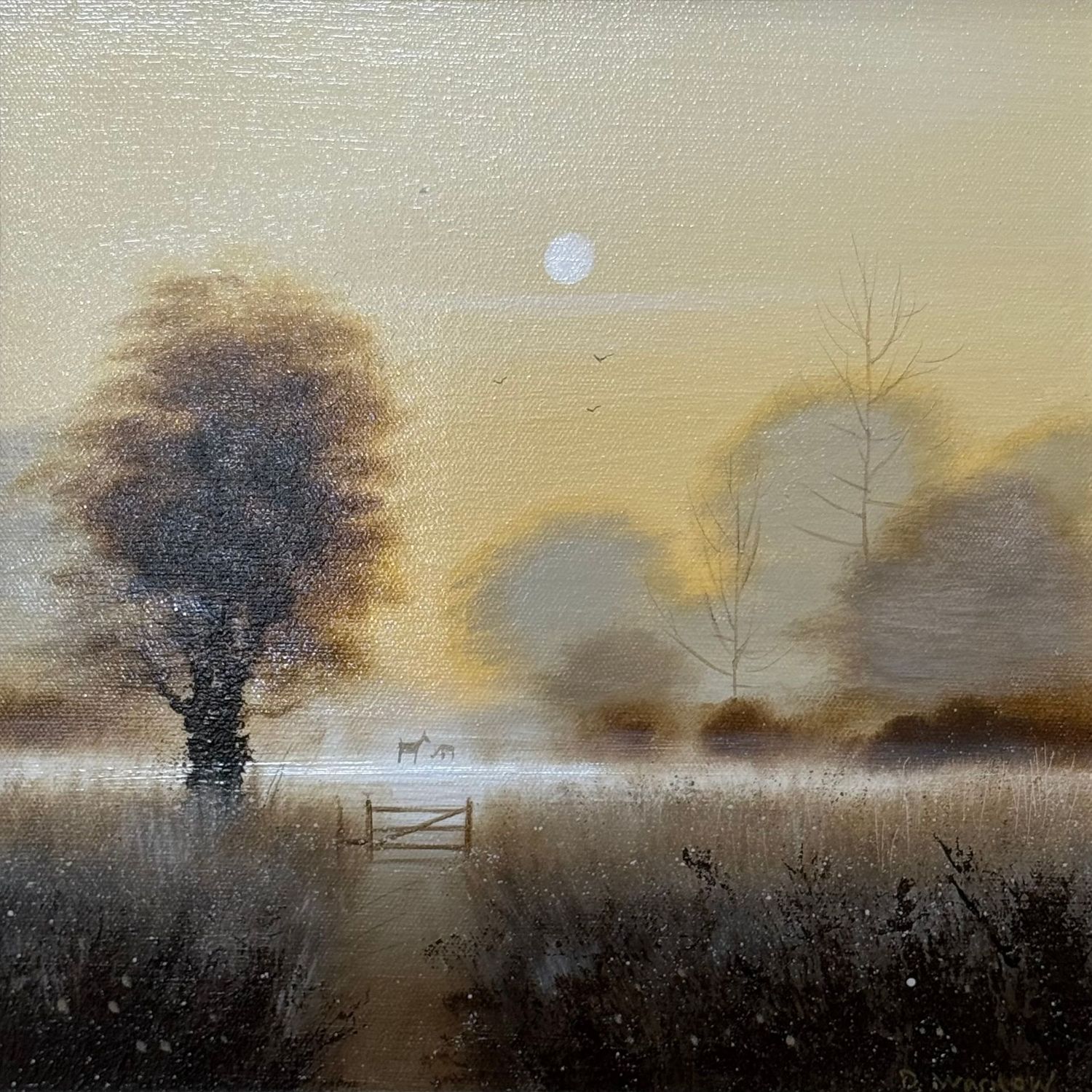 Silent Watchers