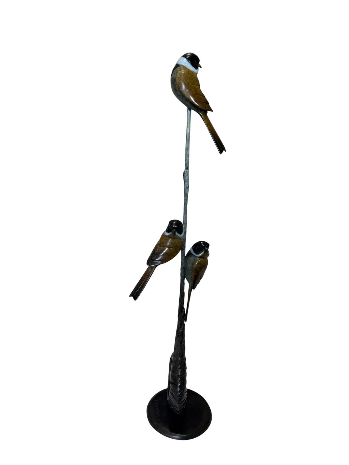Reed Buntings