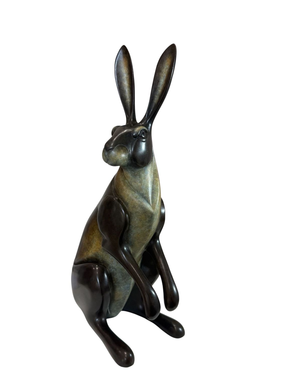 Large Lookout Hare