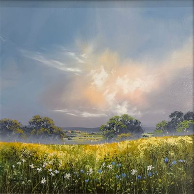 Morning Radiance Morning Radiance