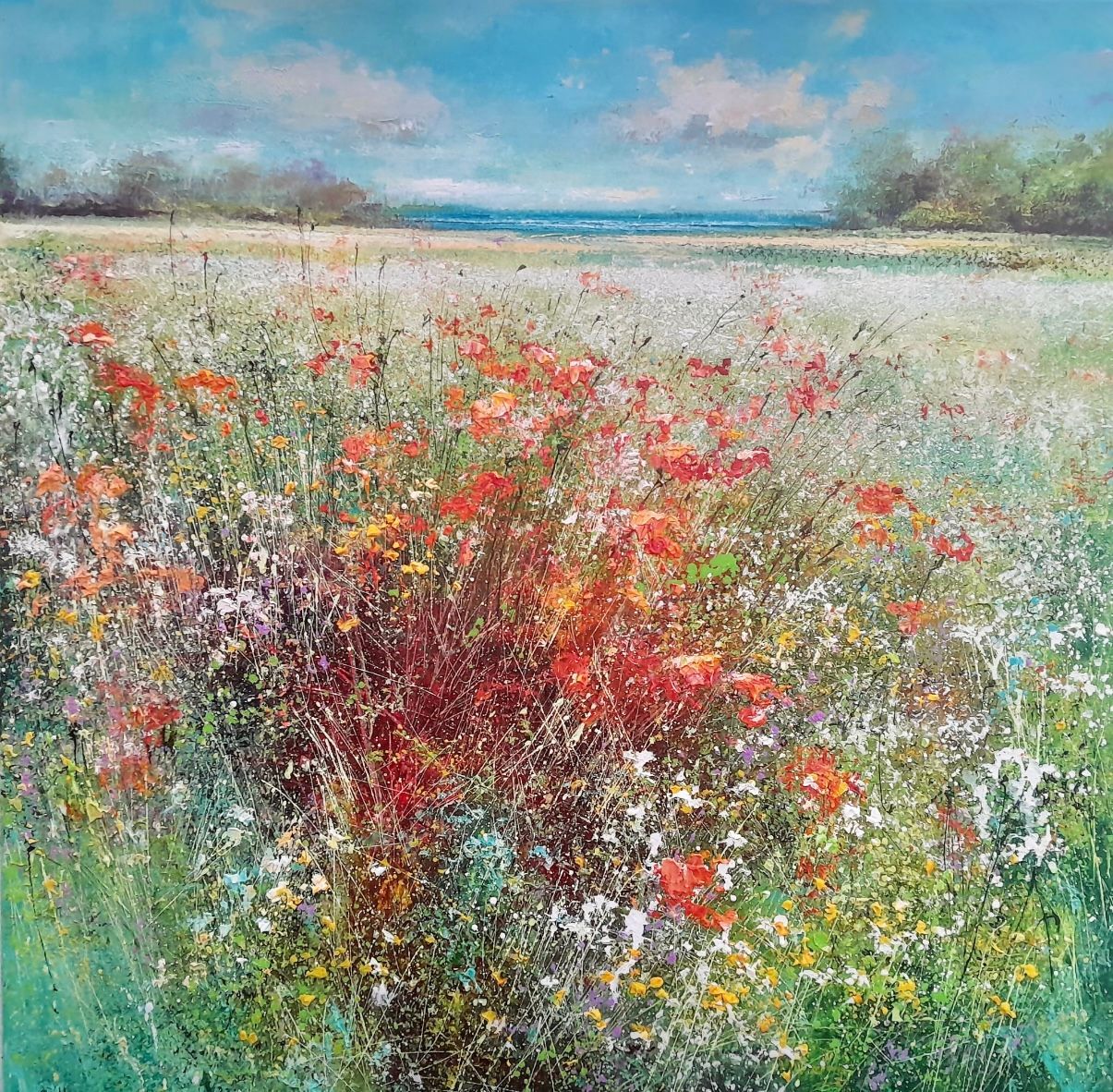 A Field for Dreaming