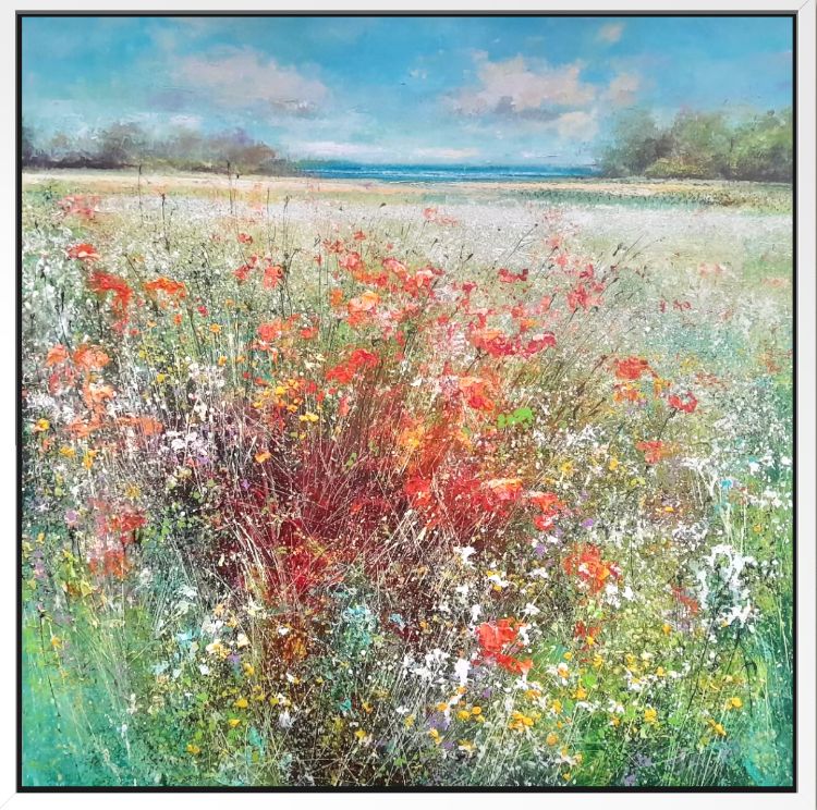 A Field for Dreaming