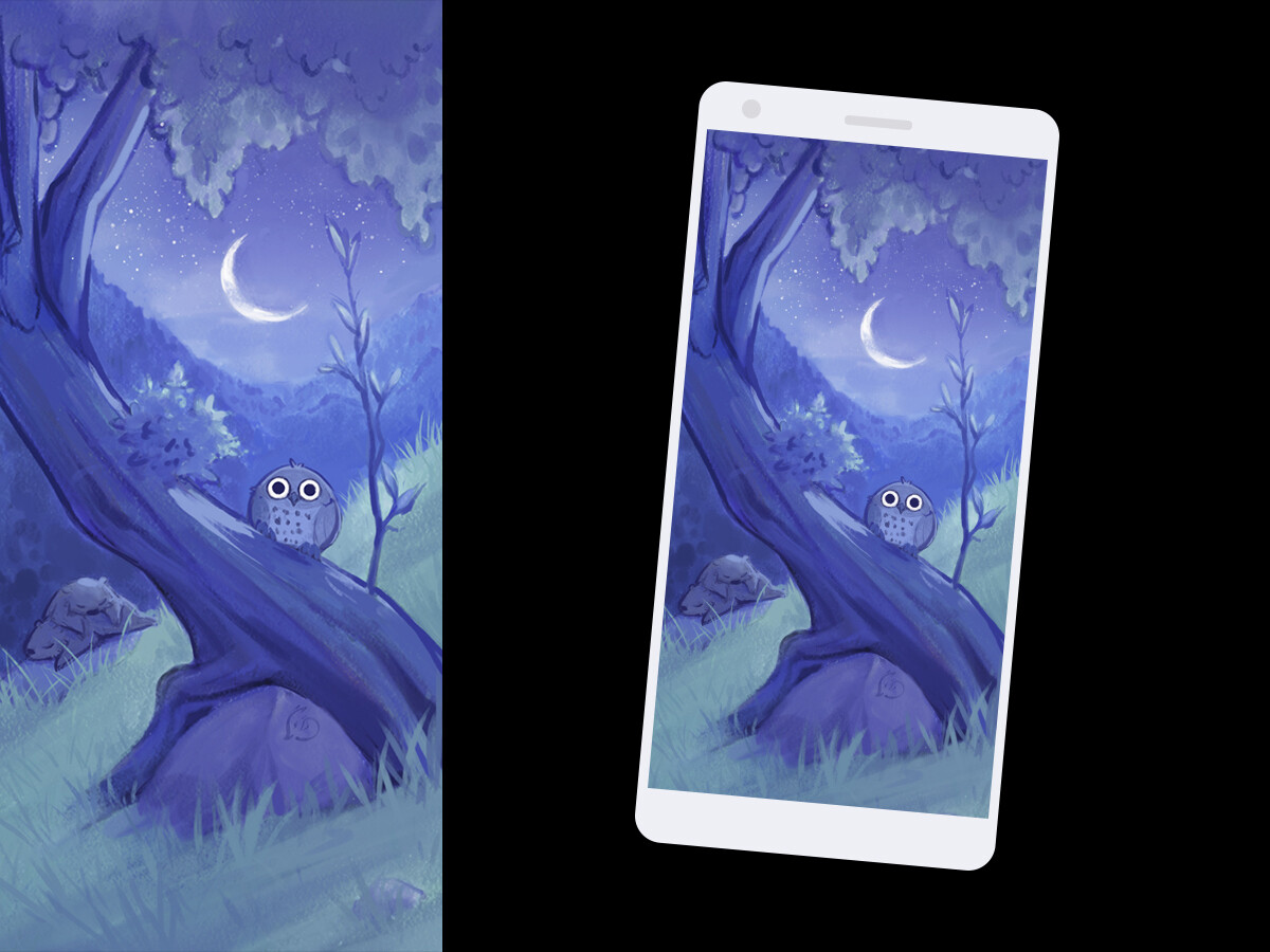 Marmottes : nuit - wallpaper