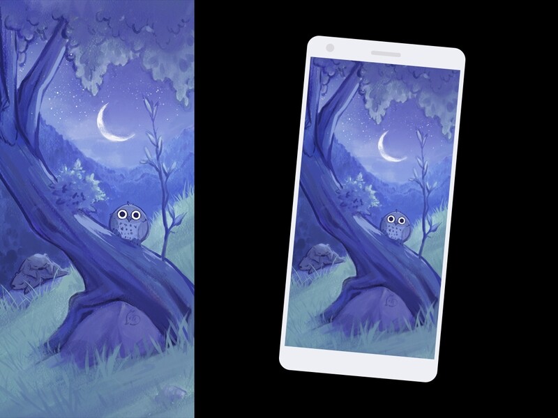 Marmottes : nuit - wallpaper