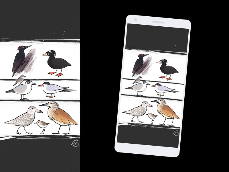 Des oiseaux - wallpaper