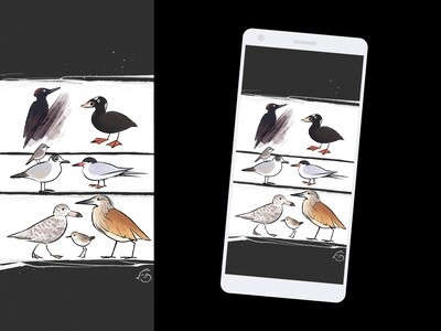 Des oiseaux - wallpaper