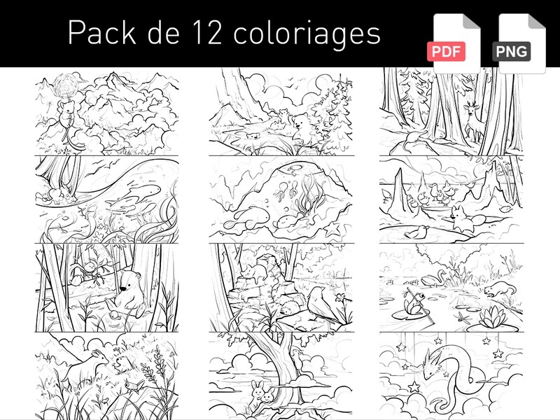 Pack de 12 coloriages