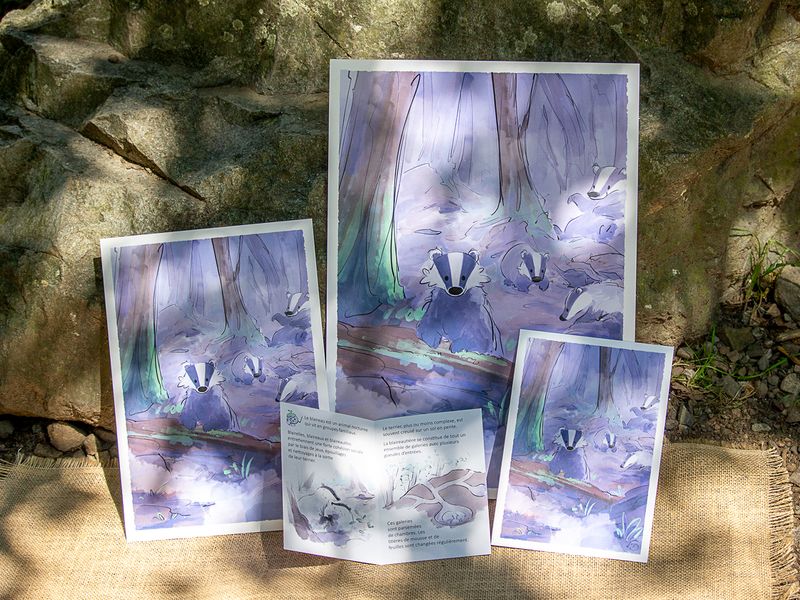 Pour le vivant : Print Blaireaux