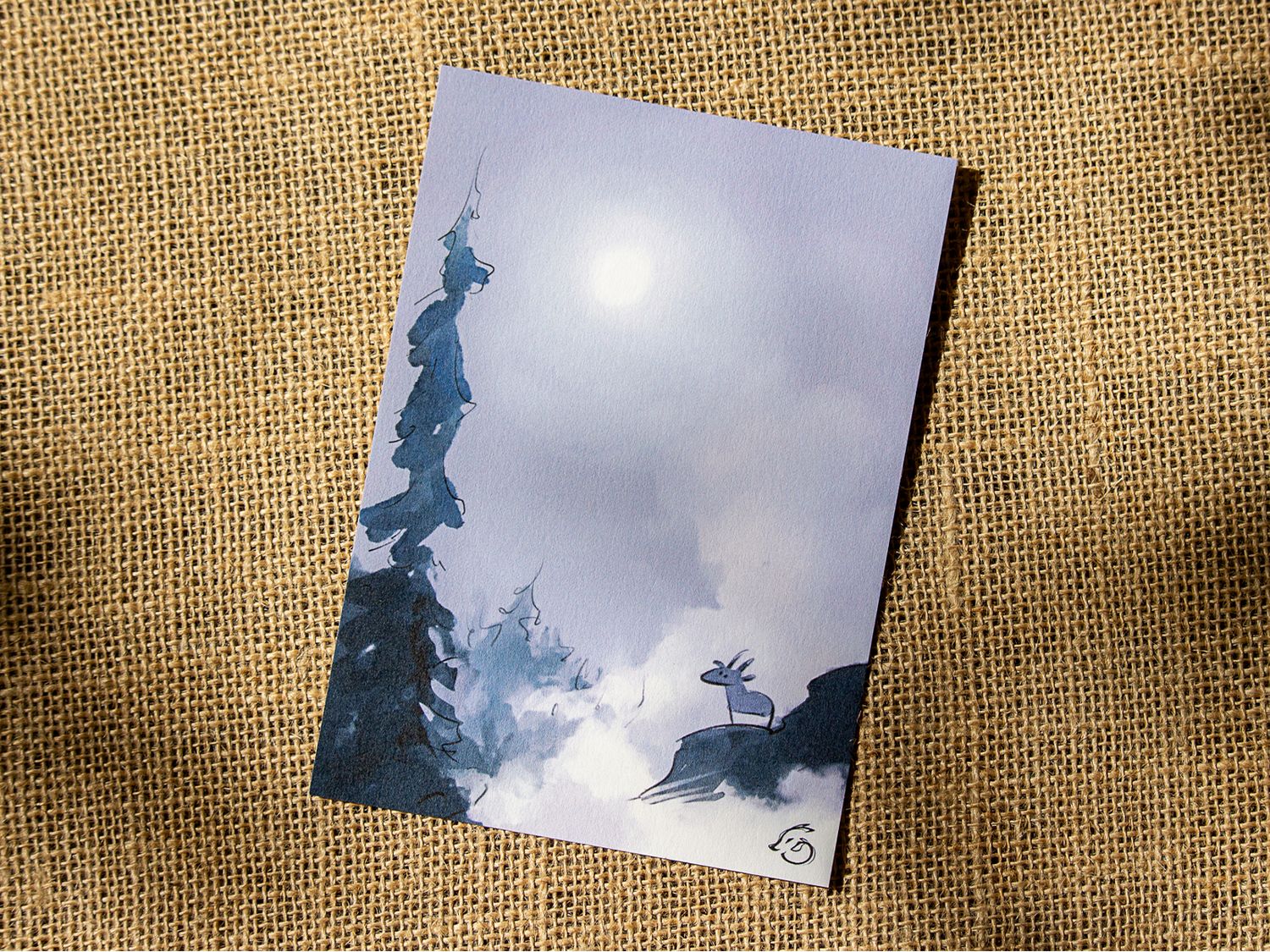 Chamois dans la brume