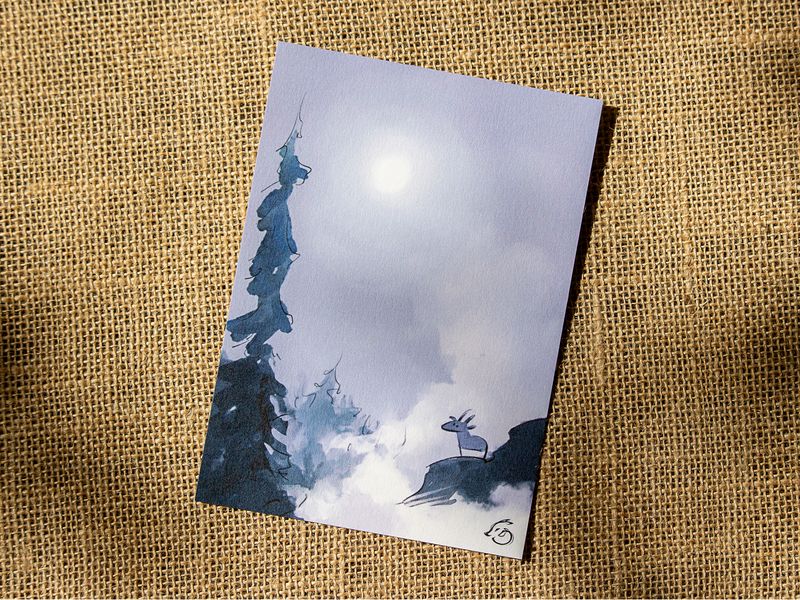 Chamois dans la brume